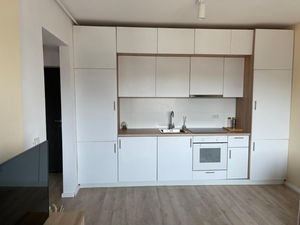 Diamond Luxury Apartment Near Presidential Palace Бухарест Экстерьер фото